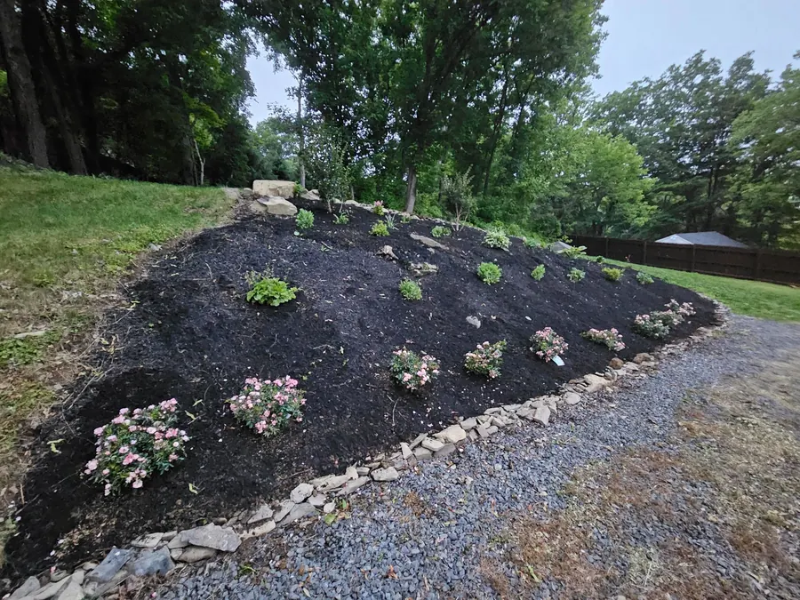 Newly planted slope finished with fresh mulch and a stone edge