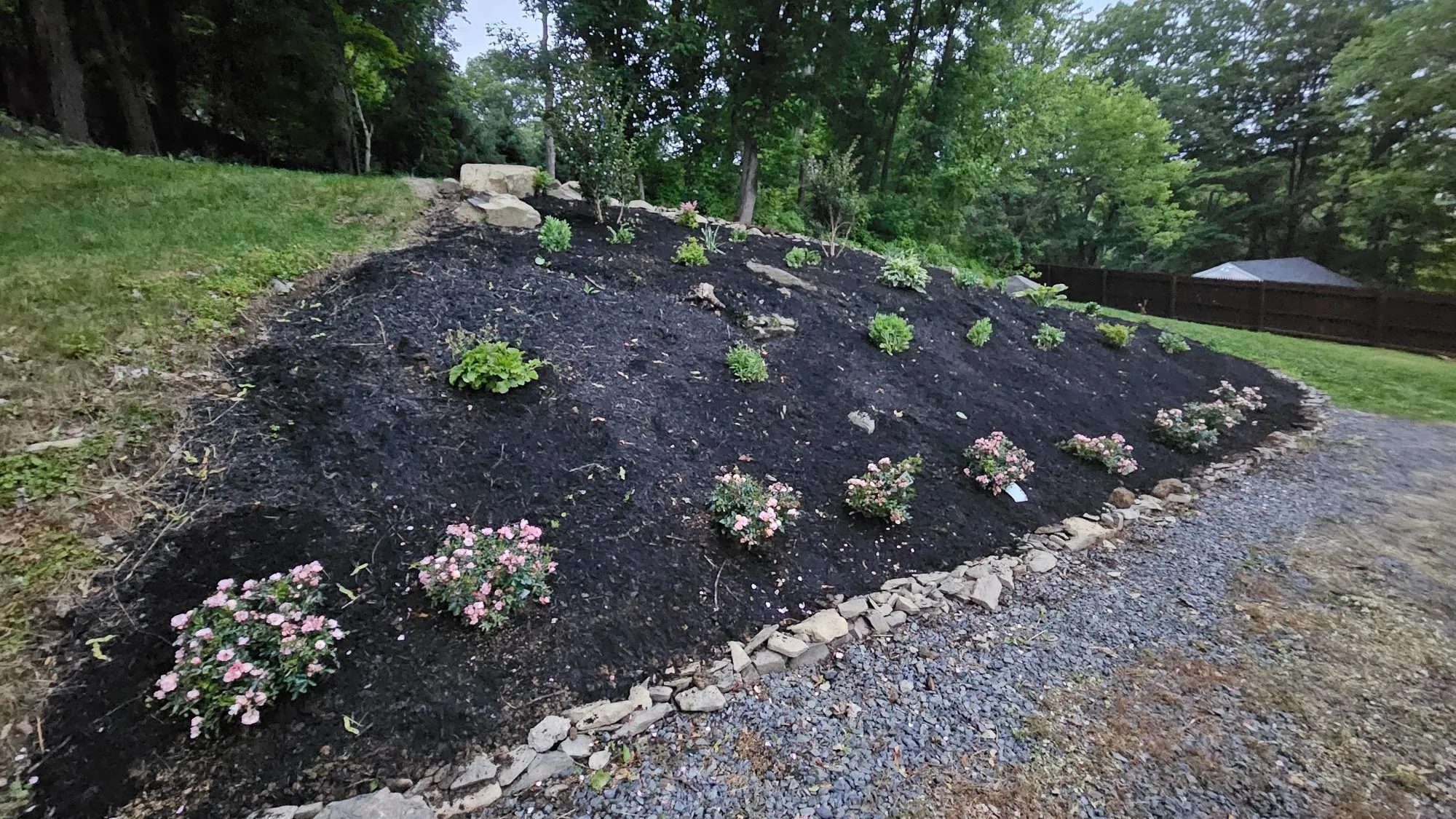 Newly planted slope finished with fresh mulch and a stone edge