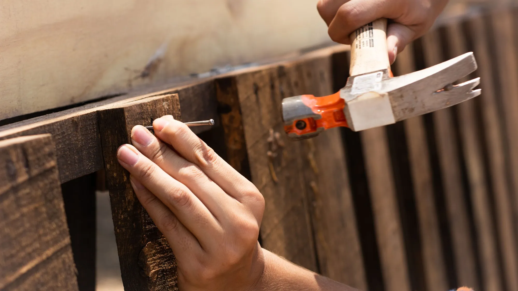 Hammering a nail into a wooden fence board