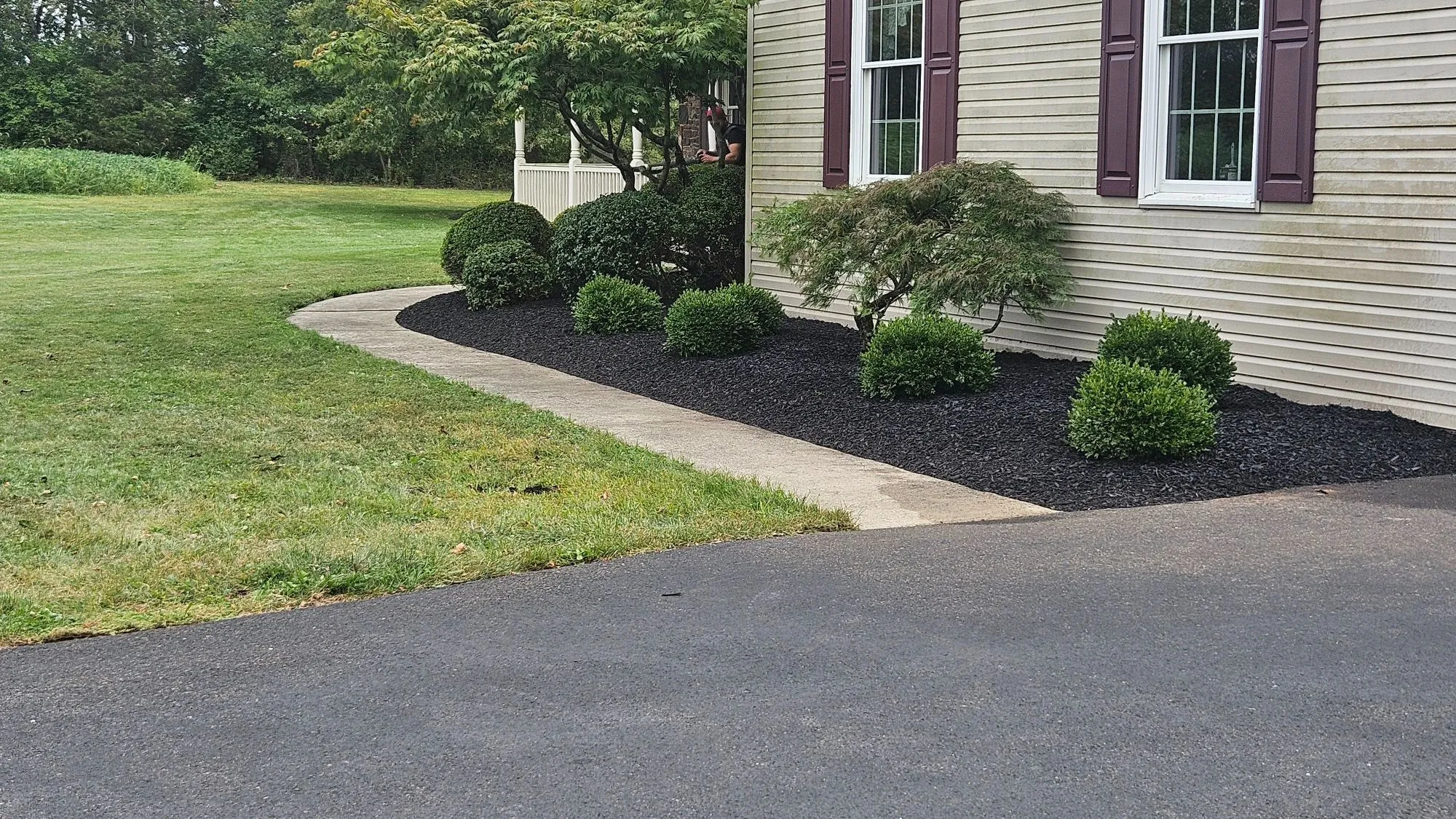 Freshly mulched landscape bed with trimmed shrubs along the side of a house