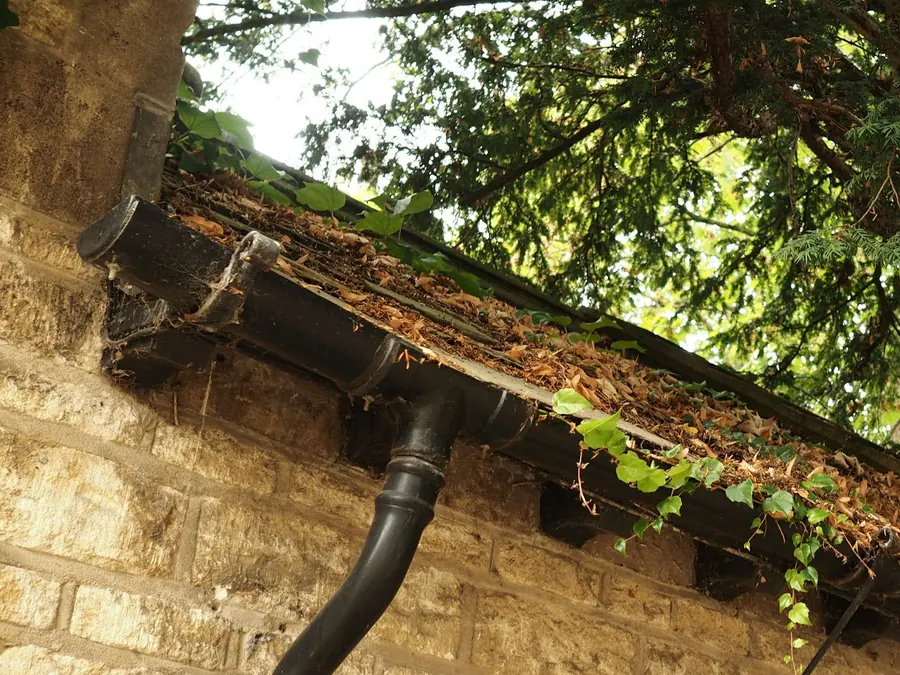 House gutter and downspout clogged with fallen leaves